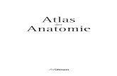 Atlas der Anatomie - ullmannmedien.com · 126-167 Kap.03_Weitz-Atlas.indd 127 19.09.2008 19:35:23 Uhr 127 Gehirn und Nervensystem Lernen und Erinnern sowie der Informationsaustausch