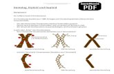 Homolog, Diploid und Haploid - GeroMovie-PDF Gonosom ist das „Geschlechtschromosomenpaar “ 23 Chromosomen zusammen bilden einen einfachen Chromosomensatz. 46 Chromosomen (23 Chromosomenpaare)