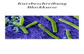 Kursbeschreibung Blockkurse - nanoscience.ch · Dieser Blockkurs baut auf dem Praktikum Organische Chemie auf. In mehreren Etappen wird ein organischer Ligand hergestellt, der an
