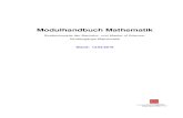 Modulhandbuch Mathematik · Modulhandbuch Mathematik – Bachelor und Master of Science Mathematik 2
