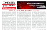 2015 - Es ist mehr drin! - DIE LINKE. Leipzig · MiB 1/2015 Parteiliches Seite 3 Auf der letzten Tagung des Stadtpartei-tages am 22.11. im Veranstaltungssaal der LVB ging es hart