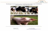 Kategorisierung von Schlachtnebenprodukten bei Rind und ... · Berndt GmbH Hauptstr. 2-4 85445 Oberding Kategorisierung von Schlachtnebenprodukten bei Rind und Schwein Diese Broschüre