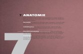 7 ANATOMIE - dpunkt.de (Auszug).pdf · ontale (Stirnbein)1 Os fr 2 Os nasale (Nasenbein) 3 Maxilla (Oberkiefer) a) spina nasalis anterior 4 Os zygomaticum (Wangenbein) 5 Mandibula