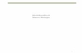 Modulhandbuch Master Biologie - bio.tu-darmstadt.de · Zudem werden Mikroorganismen gezielt aus der Natur isoliert und anhand von mikroskopischen, genetischen und biochemischen Methoden