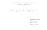 Abdominalbeschwerden und Bedeutung von Laktose, Fruktose ...edoc.sub.uni-hamburg.de/haw/volltexte/2008/454/pdf/ern_y_492.pdf · in Form von Diarrhoe, Meteorismus, Schmerzen, ... .