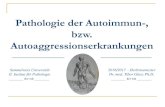 Pathologie der Autoimmun-, bzw. Autoaggressionserkrankungen …semmelweis.hu/patologia2/files/2016/10/de_51.pdf · Kolitis ulzerosa 11. Goodpasture Syndrom 12. Insulin-dependente