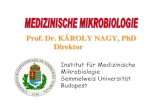 Prof. Dr. KÁROLY NAGY, Prof. Dr. KÁROLY NAGY, PhDPhD …semmelweis.hu/mikrobiologia/files/2014/05/Bevez_N_kozos_2012.pdf · Helicobacter pylori. Bestimmungschlüssel für die wichtigsten