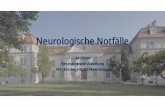 Jan Stork Neurologische Abteilung KH Hietzing mit NZ ... Wien... · • Status epileptikus (inkl. non-konvulsiver Status epil.) • Enzephalitis ... • Bei Verdacht: Lumbalpunktion