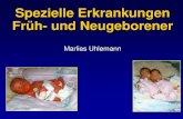 Spezielle Erkrankungen Früh- und Neugeborenerkinderklinik.med.uni-rostock.de/fileadmin/Kliniken/ukj/Bilder/... · 6. Persistierende Pulmonale Hypertonie des Neugeborenen PPHN PFC-Syndrom