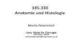 185.330 Anatomie und Histologie - vowi.fsinf.at · Vena suprarenalis. Nebenniere Nebennierenmark Produktion von Adrenalin / Noradrenalin (A-Zellen / N-Zellen) Aktivierung und Ausschüttung