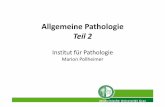 Allgemeine Pathologie Pollheimer Teil 2 - Home - TU Graz · 2017-11-06 · und Subkutis Eitrige Entzündung. Abbildung 4.15 Formen der eitrigen Entzündung. Heruntergeladen aus StudentConsult