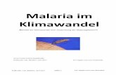 Malaria im Klimawandel 5 Zur Malaria tropica: Die unspezifischen Vorsymptome erschweren es jedoch, die
