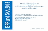 BPR und SAA 2018 - AGSANagsan.de/files/BPR_SAA_Vollstaendig_2018.pdf · Behandlungspfade und Standardarbeitsanweisungen im Rettungsdienst Landesverbände der Ärztlichen Leitungen