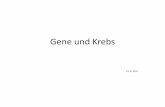 Gene und Krebs - Ruhr-Universität Bochum · Endometrium 39-50% Ovar 7-8% Magen 1-6% ableitende Harnwege 2-8% Gallengang 1-4% Duodenum 1-4% ZNS 2% Pankreas 4% Talgdrüsen variabel