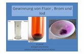 Gewinnung von Fluor , Brom und Iod 2003 - … • Fluor , Brom und Iod gehören zu den Halogenen (Salzbildner) • Sind sehr reaktiv • In der elementaren Form instabil • Anwendung
