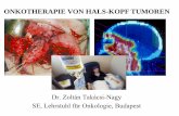 ONKOTHERAPIE VON HALS-KOPF TUMOREN - oncol.hu · T1 Tumor auf den Nasopharynx begrenzt oder mit Ausbreitung auf den Oropharynx und/oder Nasenhöhle T2 Tumor mit parapharyngealer Ausbreitung