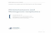 Hirnmetastasen und Meningeosis neoplastica - dgn.org · unübersichtlicher werdenden Angebot an Diagnose- und Therapieoptionen verantwortungsvoll mit Blick auf Kosten und Nutzen für