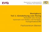 Honigkurs Teil 1: Entstehung von Honig - lwg.bayern.de · dem Enzym Invertase, welches die Honigbiene mit dem Speichel dem Nektar bzw. dem Futter zufügt. • Maltose: = Malzzucker