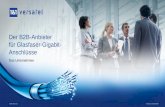 Der B2B-Anbieter für Glasfaser-Gigabit-Anschlüssefs.versatel.de/presse_material/Unternehmenspraesentation_1und1_Versatel.pdf · 1 Stand: März 2019 © 2019 1&1 Versatel GmbH. Alle