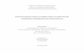 Untersuchung der Rolle von Rptpζ sowie von Rsk2 bei der ...ediss.sub.uni-hamburg.de/volltexte/2016/7783/pdf/Dissertation.pdf · 4.1.2 Die Rolle von Rptpζ im humanen Osteosarkom