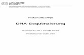 DNA-Sequenzierung - TU Dresden · Das Praktikum ist so angelegt, dass Sie nach eingehender Unterweisung eine möglichst große Selbständigkeit bei der Durchführung der einzelnen