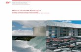 Denk-Schrift Energie - academies-suisses.chacademies-suisses.ch/dms/D/Publikationen/Berichte/Denk-Schrift_d.pdf · in Europa zu mehr als 80% auf kohlenstoffhaltigen Brenn- und Treibstoffen.