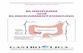 BLINDDARM und - gastro-liga.de · 3 Was ist eine Blinddarmentzündung und wodurch ensteht sie? Eine Blinddarmentzündung (medizinisch „Appendizitis“) ist die Reaktion des Immunsystems