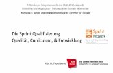 Die SprInt Qualifizierung Qualität, Curriculum, & Entwicklung · Qualität, Curriculum, & Entwicklung Prof. Dr. Theda Borde 7. Nürnberger Integrationskonferenz, 06.10.2018, südpunkt