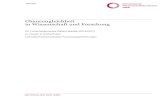 Chancengleichheit in Wissenschaft und Forschung · 1 . Chancengleichheit in Wissenschaft und Forschung. 22. Fortschreibung des Datenmaterials (2016/2017) zu Frauen in Hochschulen