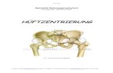 HÜFTZENTRIERUNG - sport1.uibk.ac.atsport1.uibk.ac.at/lehre/lehrbeauftragte/Huber%20Reinhard/H%FCftzentrierung.pdf · 5 2. Anatomische Bestandteile des Hüftgelenks Das Hüftgelenk