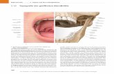5.26 Topografie der geöffneten Mundhöhle - Er-Leben - … · 2015-09-11 · Palatum molle a Chonchae nasales Velum palatinum lymphatische Gewebe der Seiten-stränge (Plica salpingopharyngea)