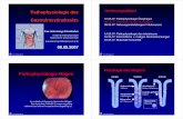 Gastrointestinaltrakts 07.05.07: Pathophysiologie Ösophagus · • akut hämorrhagische Gastritis • Streßulkus –chronische Gastritis • Oberflächengastritis und • chronisch
