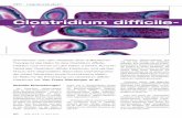 Clostridium difficile- Infektion - Österreichische Ärztezeitung - … · 2014-03-10 · Viertel aller Clostridium difficile-Infektionen wird darüber hinaus nicht diagnostiziert.