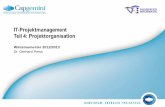 IT-Projektmanagement - Projektorganisationagse.cs.uni-kl.de/teaching/pm/ws2012/material/04-Projektorganisation.pdf · Beispiel: Matrixorganisation 04-PROJEKTORGANISATION.PPTX 28 Vorstand