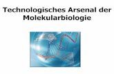 Technologisches Arsenal der Molekularbiologie - web.med.u ...web.med.u-szeged.hu/mdbio/ger/material/2012-2013/I.semester/Zell_l/13/... · 5. Puffer Menge der DNA wird in jedem Zyklus