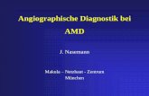 Angiographische Diagnostik bei AMDmakula-netzhaut-zentrum-muenchen.com/vortraege/vortrag_10.pdfBedeutungswandel der FLA • Größenmessung der CNV • Verlaufskontrolle nach Therapie
