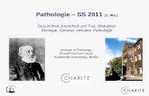 Pathologie – SS 2011 (1. Wo.) · Entnahme in der Klinik. Rudolf-Virchow-Haus • Bestätigung oder Ausschluß eines Tumors • Bösartigkeit / Gutartigkeit • Invasives Wachstum