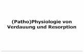 (Patho)Physiologie von Verdauung und Resorption - thieme.de · GIP: -aus K-Zellen im Duodenum und Jejunum hemmt Gastrinfreisetzung und stimuliert Insulinfreisetzung bei Nahrungsaufnahme