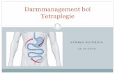 Darmmanagement bei Tetraplegie - KAI · Anatomie und Physiologie des unteren Gastrointestinal Traktes (1/3 ) Der Dünndarm besteht aus drei Abschnitten: Duodenum (Zwölffingerdarm)