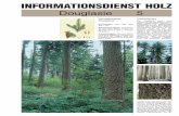 INFORMATIONSDIENST HOLZ - beka-gruppe.de · nen die Grüne Küstendouglasie (Küstenrasse) sowohl für die amerikanische Forst- und Holz - wirtschaft als auch für den An-bau in Mittel