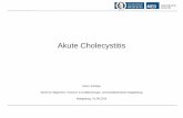 Akute Cholecystitis - kchi.ovgu.de · • Die akute Cholecystitis ist mit mehr als 64.000 stationär behandelten Fällen eines der häufigsten Krankheitsbilder • Meist Verursacht