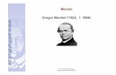 Mendel Gregor Mendel (*1822, 1884) - Goethe-Universitätuser.uni-frankfurt.de/~dingerma/Podcast/Genetik_2009_1_3.pdf · Prof. Dr. Theo Dingermann Dingermann@em.uni-frankfurt.de 2.