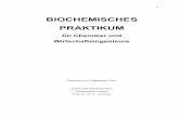 Praktikumsskript zum Biochemie-Praktikum · 4 Anmerkungen zum Praktikum Protokolle zu den einzelnen Versuchen sind spätestens 1 Woche nach Beendigung des Versuchs beim Versuchsassistenten