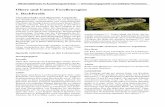 Obere und Untere Forellenregion 1. Bachforelle · Neuere, zusammenfassende Angaben zu den ökologi-schen Ansprüchen der Bachforelle sind bei Crisp (2000)7 und Klemetsen et al. (2003)18