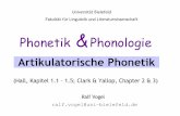 Artikulatorische Phonetik -  · Phonetik & Phonologie WS 2007/2008 Ralf Vogel Grundlegendes Statt des Begriffs Sprachlaut benutzt man auch die Begriffe Segment oder Phon. Konvention: