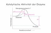 Katalytische Aktivität der Enzyme - img.bio.uni-goettingen.de · Mechanismen der Enzymkatalyse • Kovalente Katalyse esy•S KeBslaa-etaruä • Metall-Ionen Katalyse • Katalyse