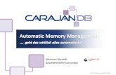 Johannes Ahrends Geschäftsführer CarajanDB · Automatic Memory Management Author: Johannes Ahrends Created Date: 11/25/2012 1:46:46 PM ...
