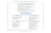 Algorithmus 1: Diagnostisches Vorgehen bei einer ...shop2.kohlhammer.de/shopX/shops/kohlhammer/data/pdf/978-3-17-020585-7_O.pdf · akut chronisch Infektion unklares Krankheitsbild