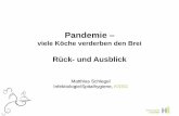 Pandemie - infekt.chinfekt.ch/content/uploads/2013/11/Schlegel_15.St_.Galler_Infekttag.pdf · l@ kssg.ch Nicht H1N1 zu haben, war auch gefährlich! Fallvignetten, alle mit Symptomen,