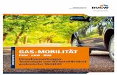 ERDGAS GAS-MOBILITÄT - dvgw.de · 3 DATEN UND FAKTEN ERDGAS Gas-Mobilität (PKW, LKW, Bus), April 2018 Grundlagen Erdgas in Form von CNG (Compressed Natural Gas) und LNG (Liquefied